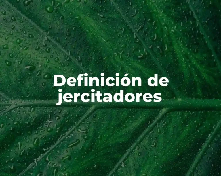 Definición de jercitadores
