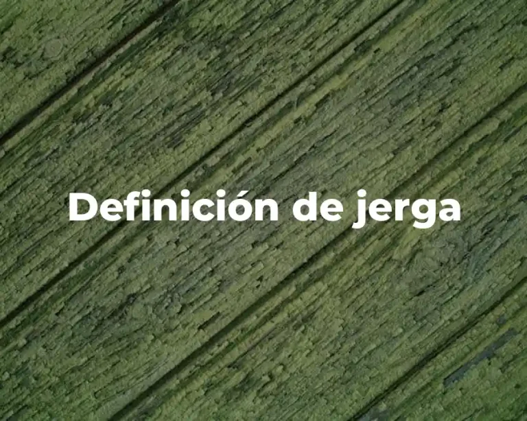 Definición de jerga