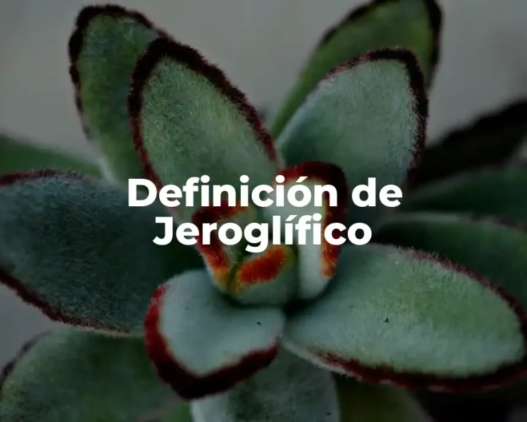 Definición de Jeroglífico