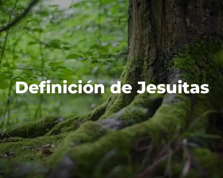 Definición de Jesuitas