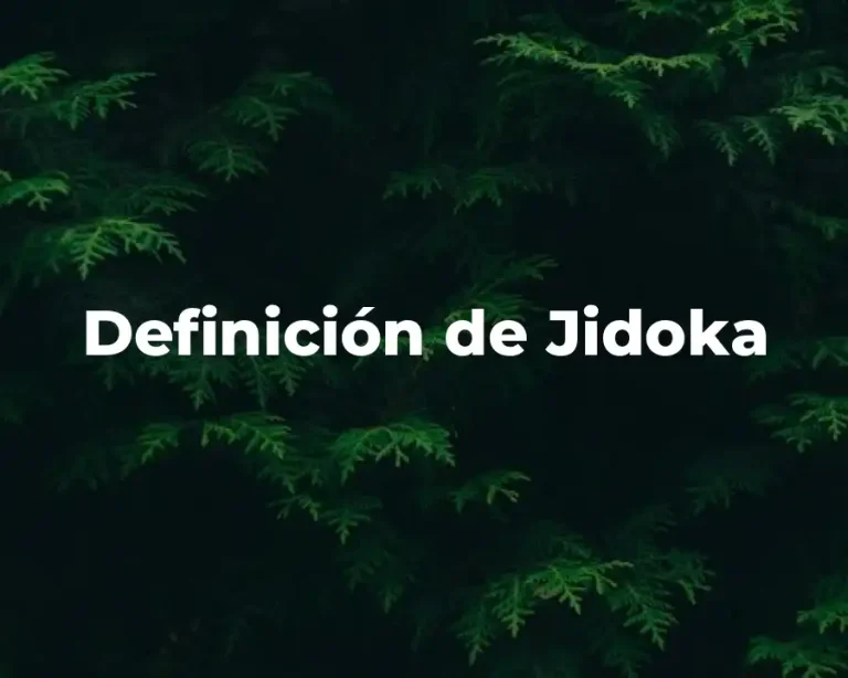 Definición de Jidoka