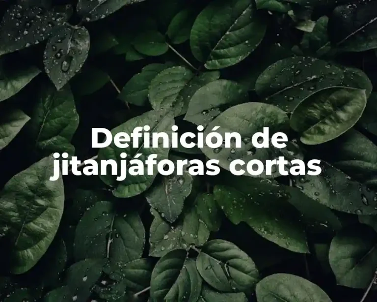 Definición de jitanjáforas cortas