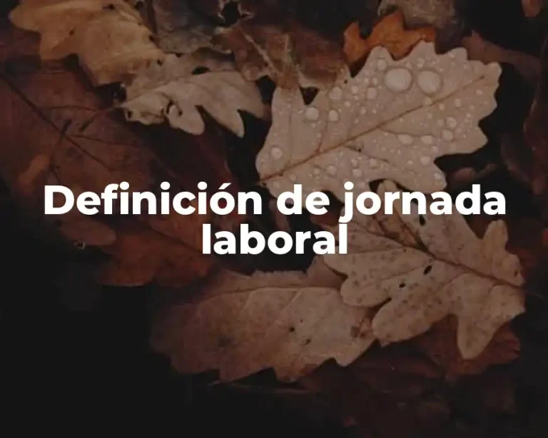 Definición de jornada laboral