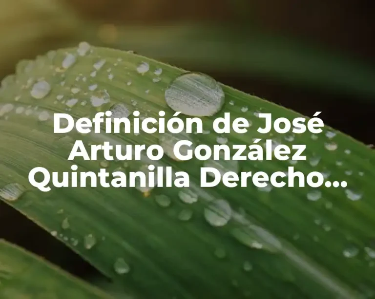 Definición de José Arturo González Quintanilla Derecho Penal