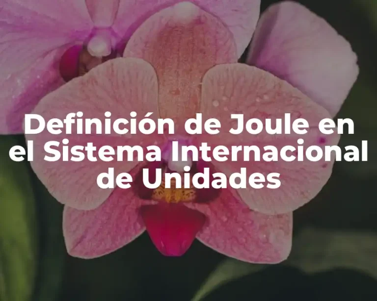 Definición de Joule en el Sistema Internacional de Unidades
