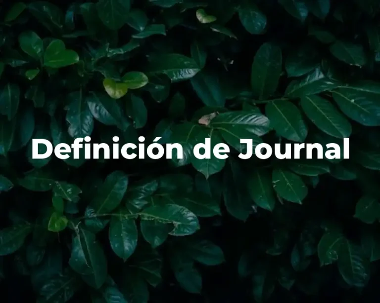 Definición de Journal