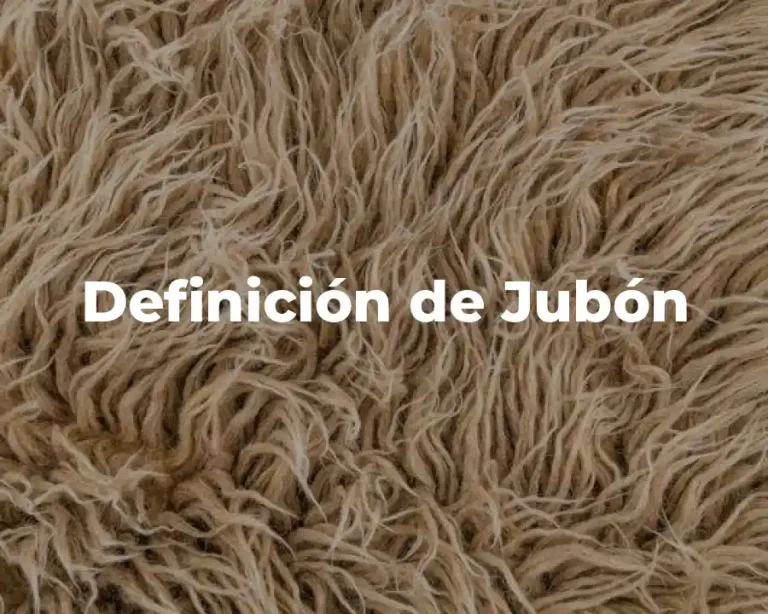 Definición de Jubón