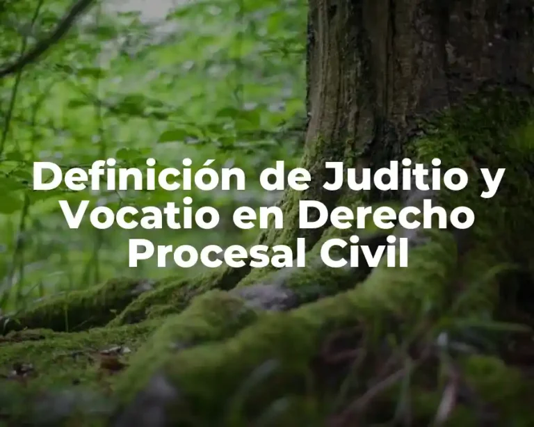 Definición de Juditio y Vocatio en Derecho Procesal Civil