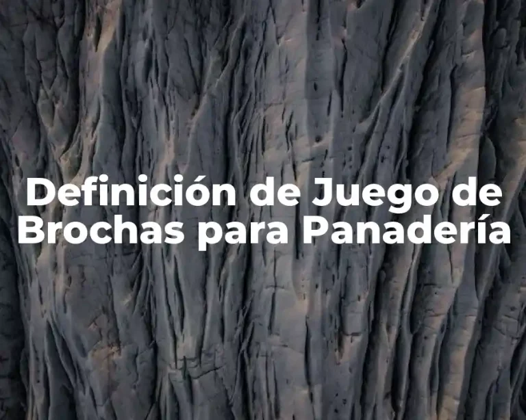 Definición de Juego de Brochas para Panadería