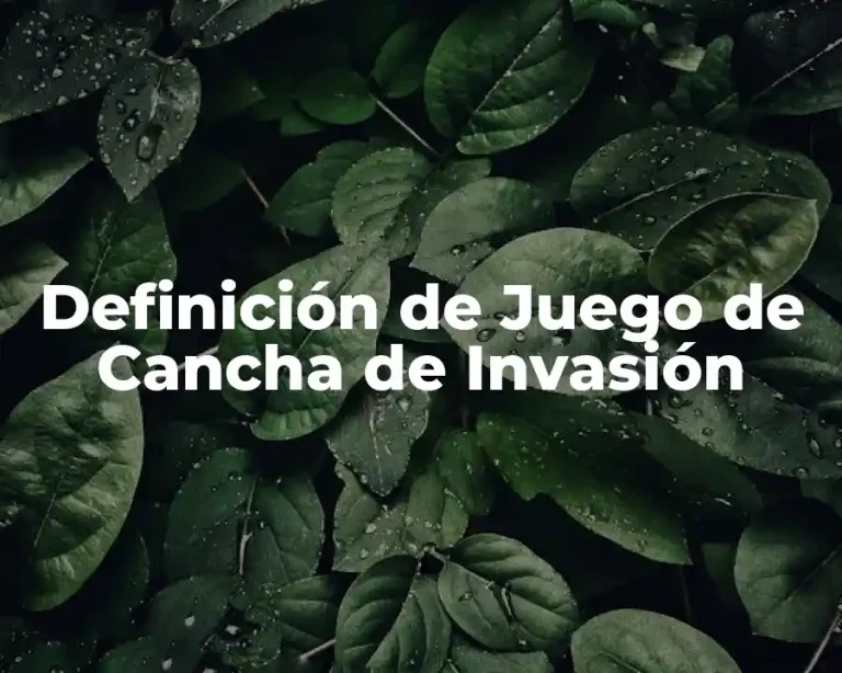Definición de Juego de Cancha de Invasión