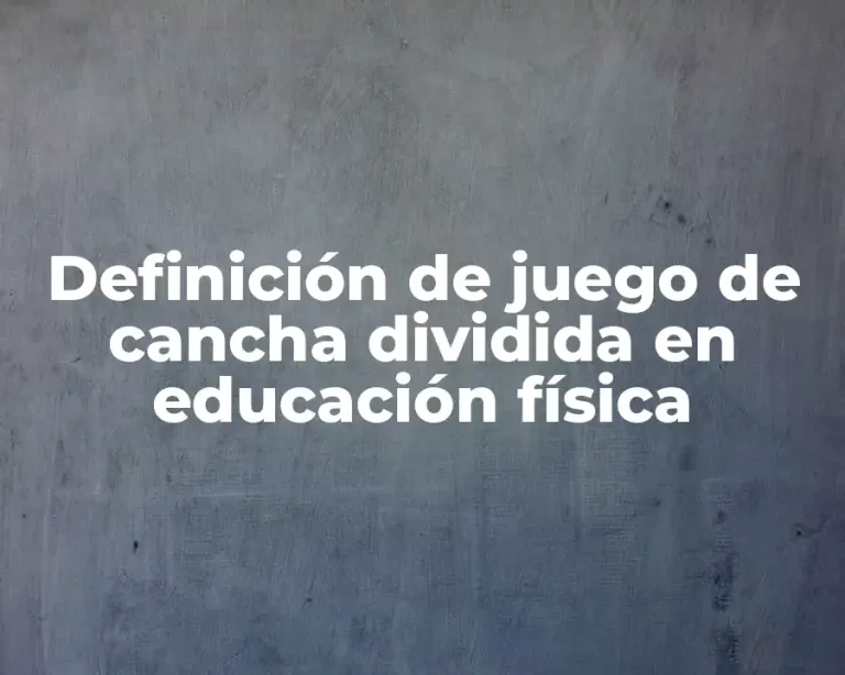 Definición de juego de cancha dividida en educación física