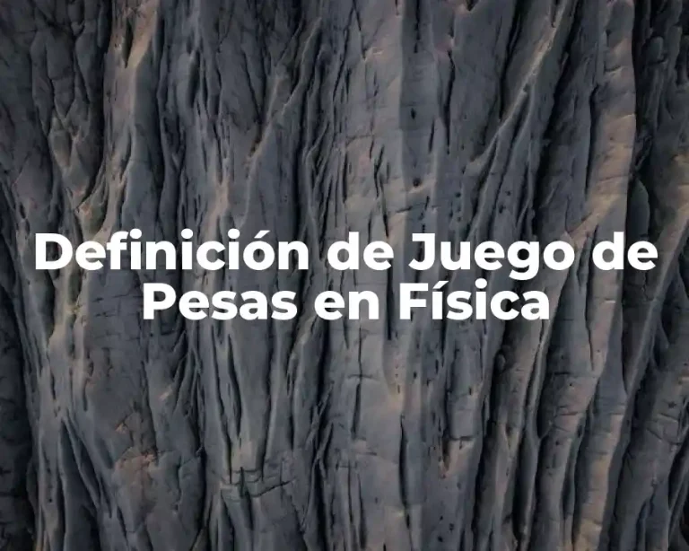 Definición de Juego de Pesas en Física