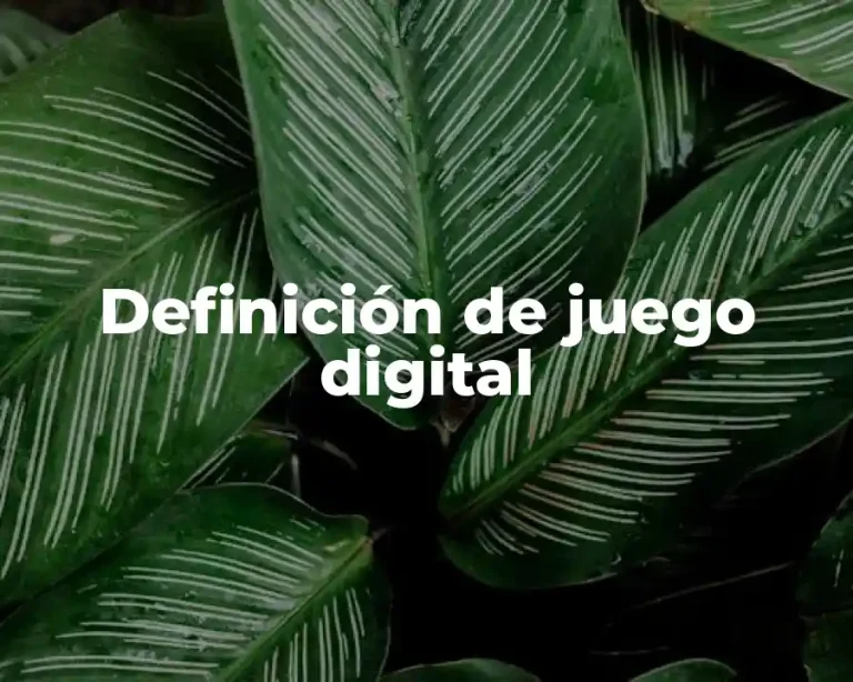 Definición de juego digital