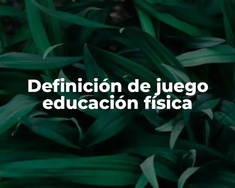 Definición de juego educación física