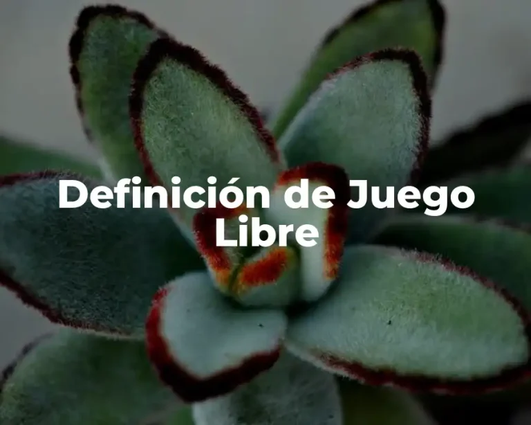 Definición de Juego Libre