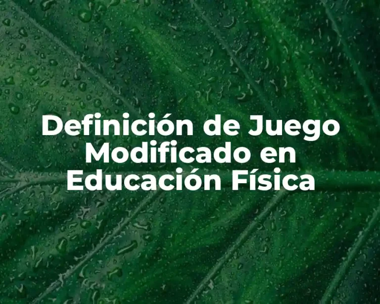 Definición de Juego Modificado en Educación Física