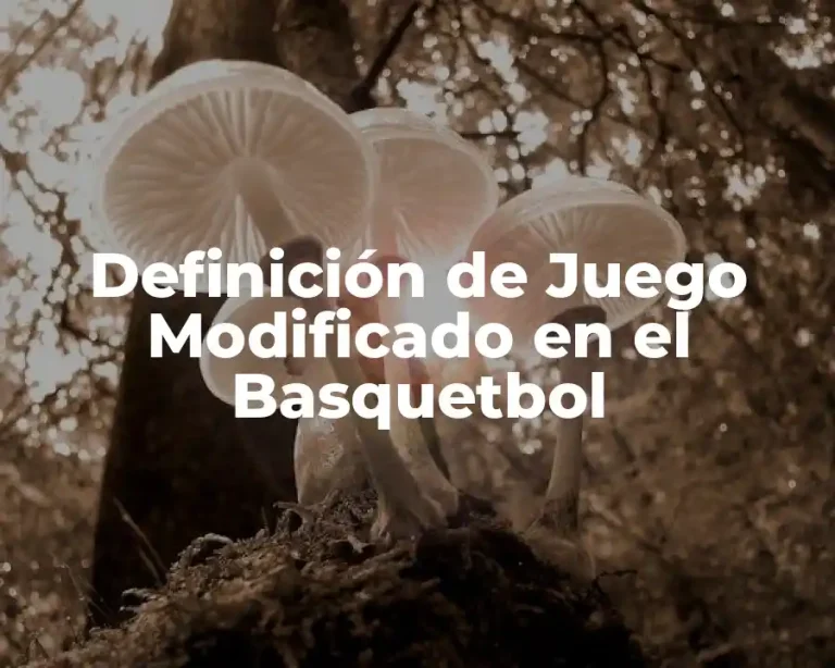 Definición de Juego Modificado en el Basquetbol
