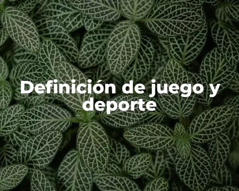 Definición de juego y deporte