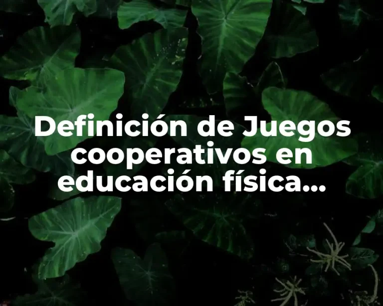 Definición de Juegos cooperativos en educación física secundaria