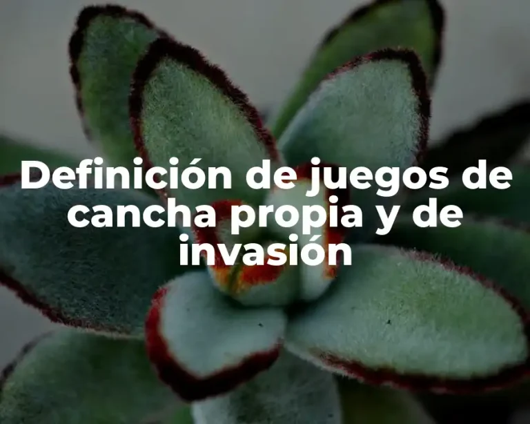 Definición de juegos de cancha propia y de invasión