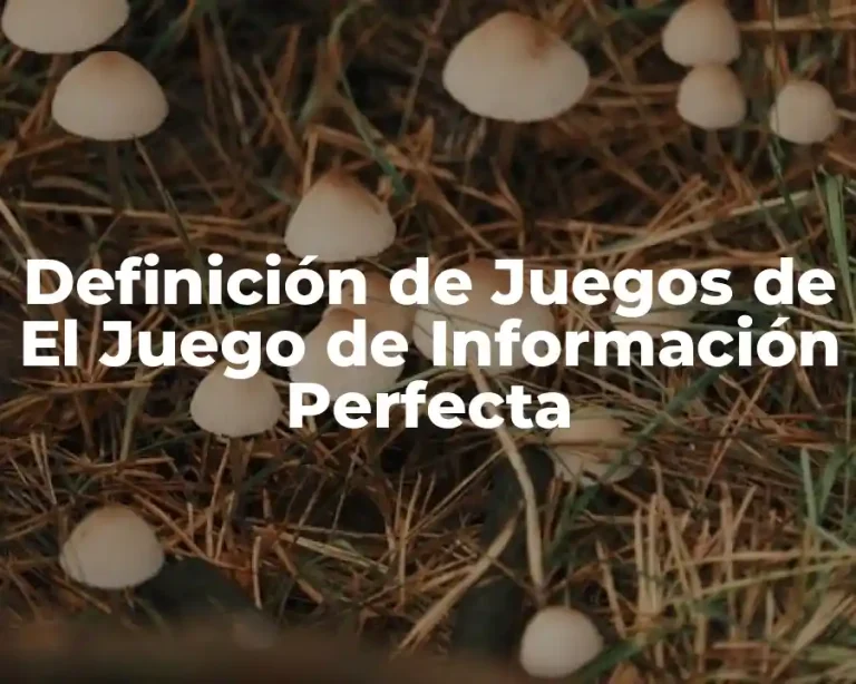 Definición de Juegos de El Juego de Información Perfecta