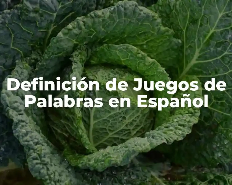 Definición de Juegos de Palabras en Español