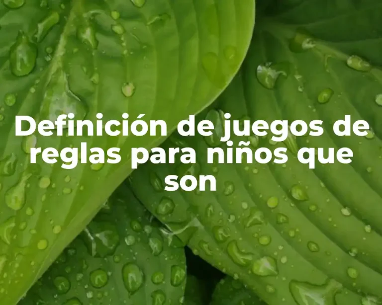 Definición de juegos de reglas para niños que son