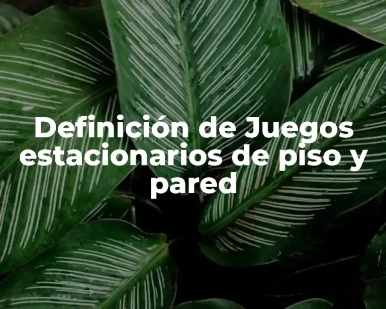 Definición de Juegos estacionarios de piso y pared