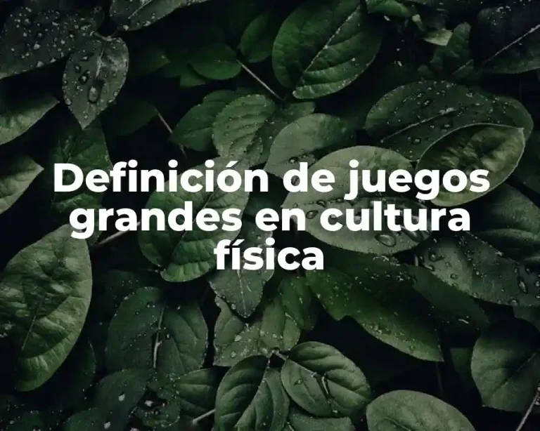 Definición de juegos grandes en cultura física