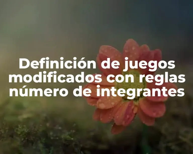 Definición de juegos modificados con reglas número de integrantes