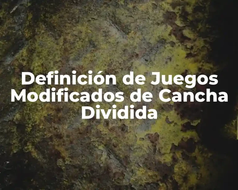 Definición de Juegos Modificados de Cancha Dividida