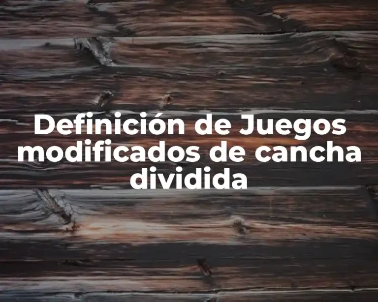 Definición de Juegos modificados de cancha dividida