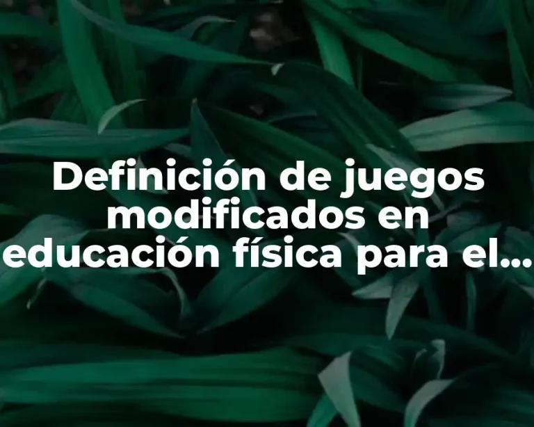 Definición de juegos modificados en educación física para el gavilán