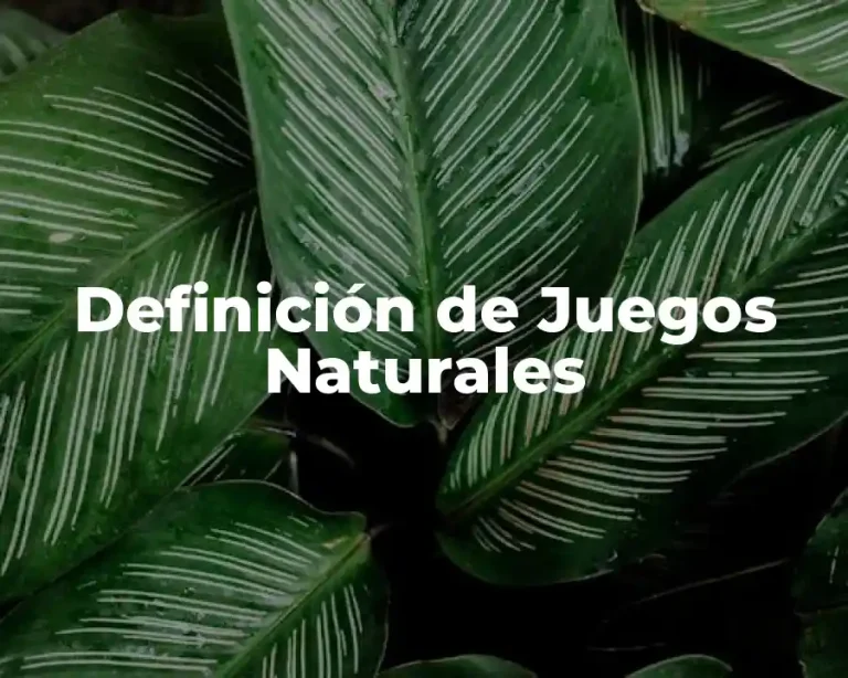 Definición de Juegos Naturales