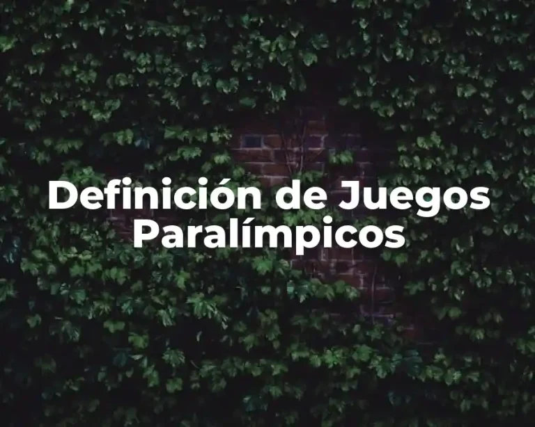 Definición de Juegos Paralímpicos
