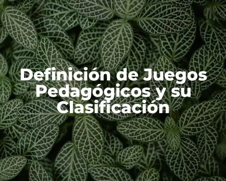 Definición de Juegos Pedagógicos y su Clasificación