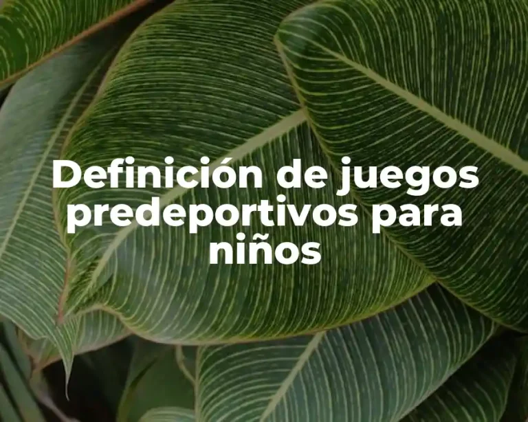 Definición de juegos predeportivos para niños