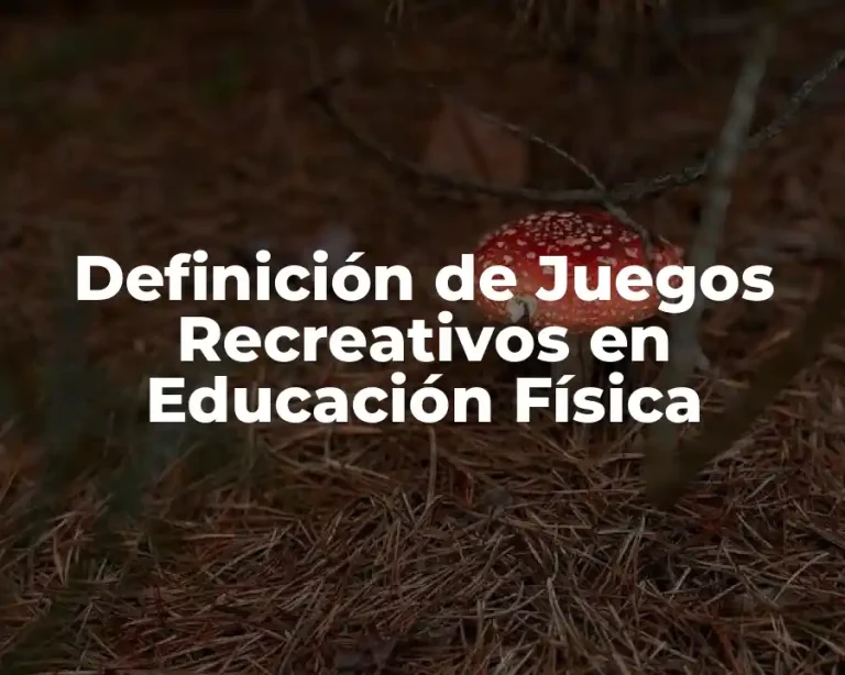 Definición de Juegos Recreativos en Educación Física