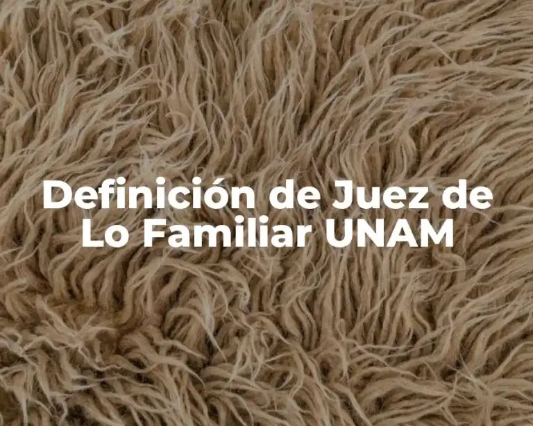 Definición de Juez de Lo Familiar UNAM
