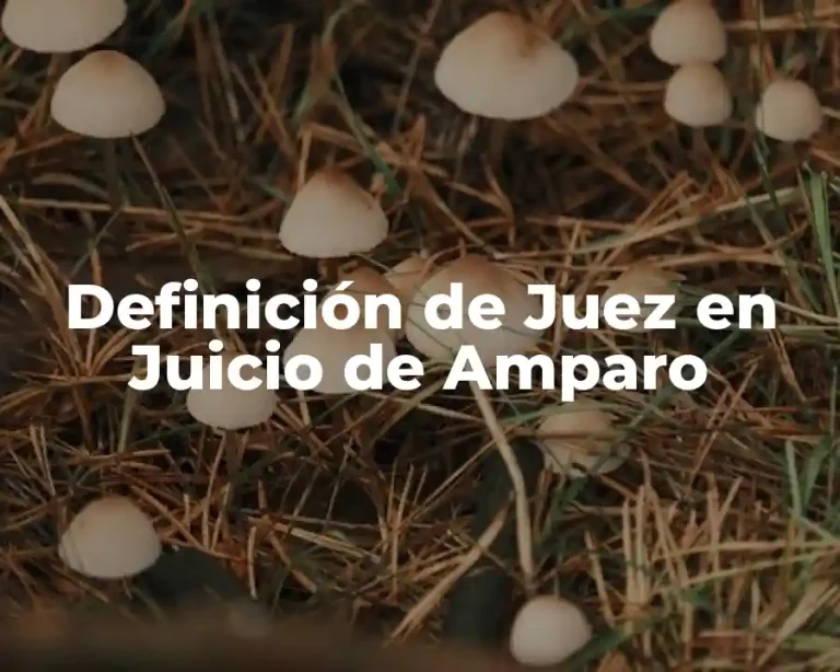 Definición de Juez en Juicio de Amparo