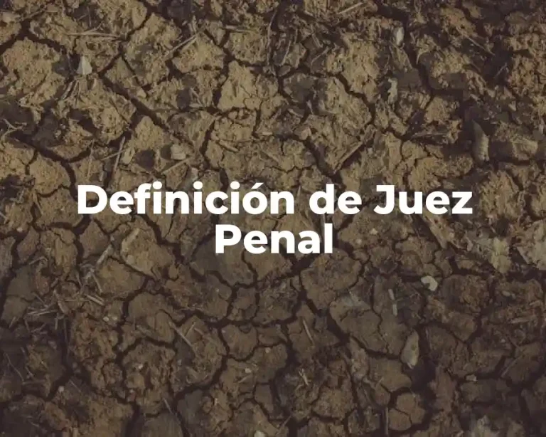 Definición de Juez Penal