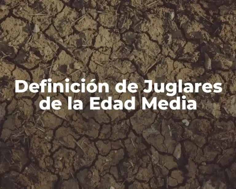 Definición de Juglares de la Edad Media