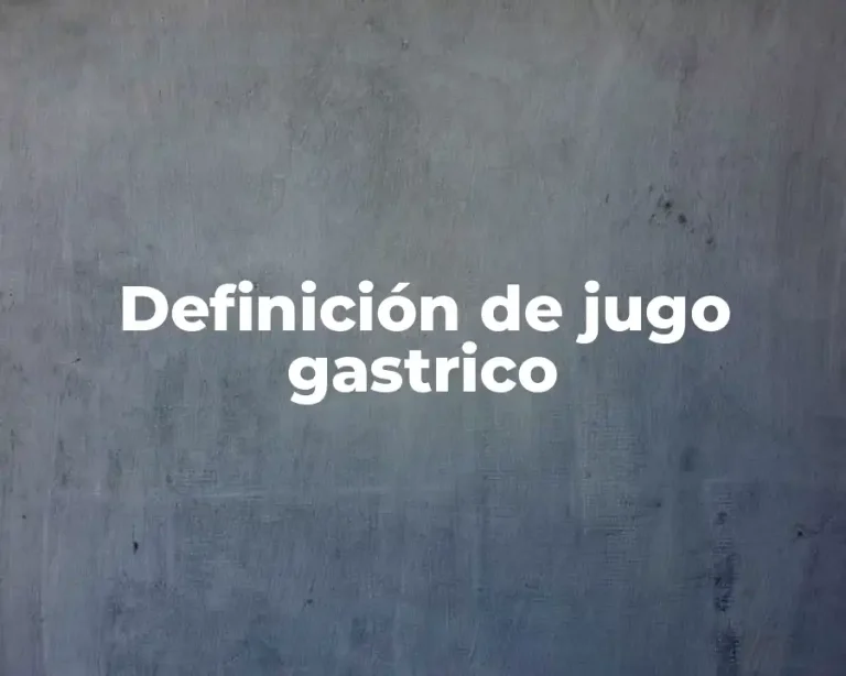 Definición de jugo gastrico