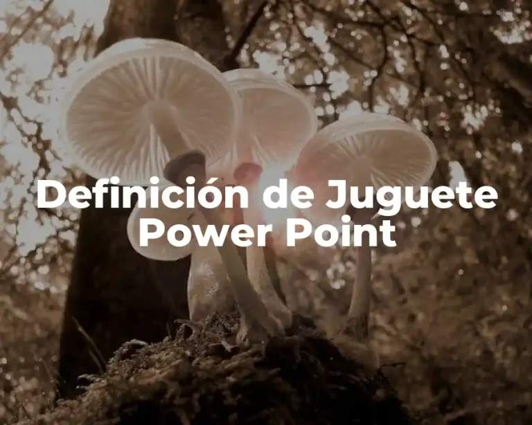 Definición de Juguete Power Point