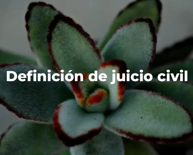 Definición de juicio civil