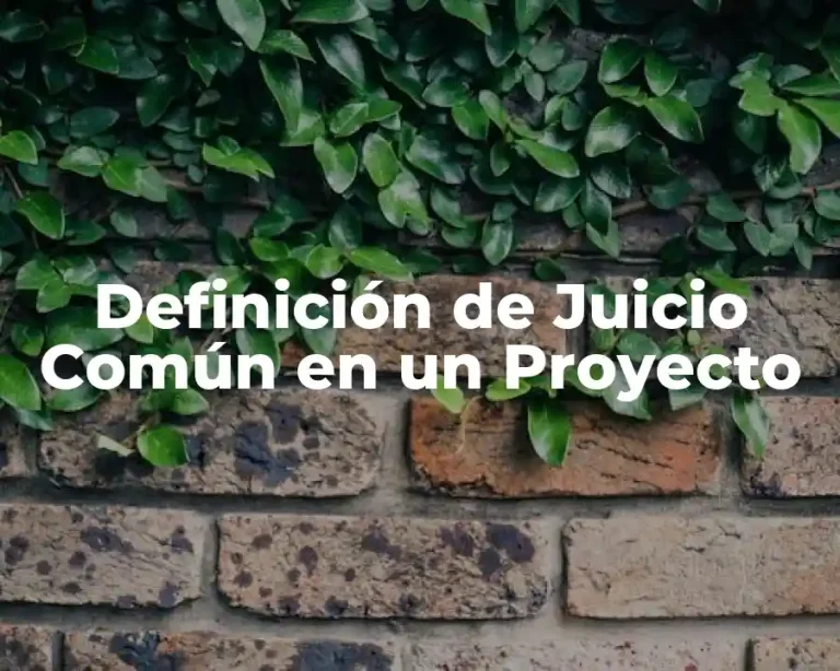 Definición de Juicio Común en un Proyecto