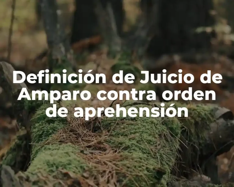 Definición de Juicio de Amparo contra orden de aprehensión