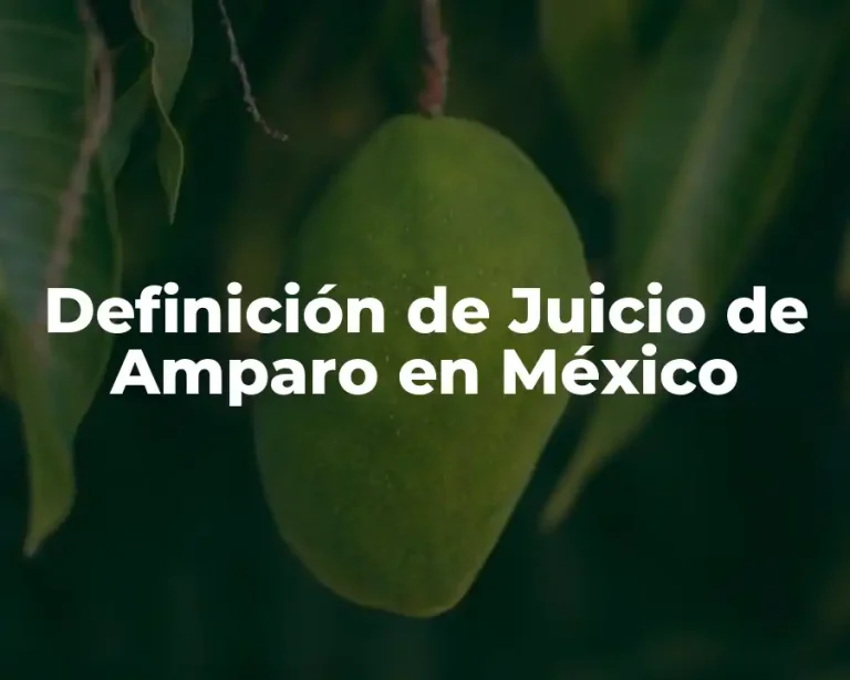Definición de Juicio de Amparo en México