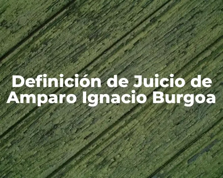 Definición de Juicio de Amparo Ignacio Burgoa