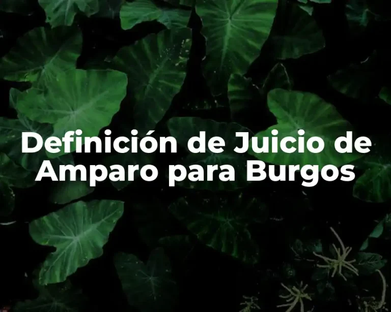 Definición de Juicio de Amparo para Burgos